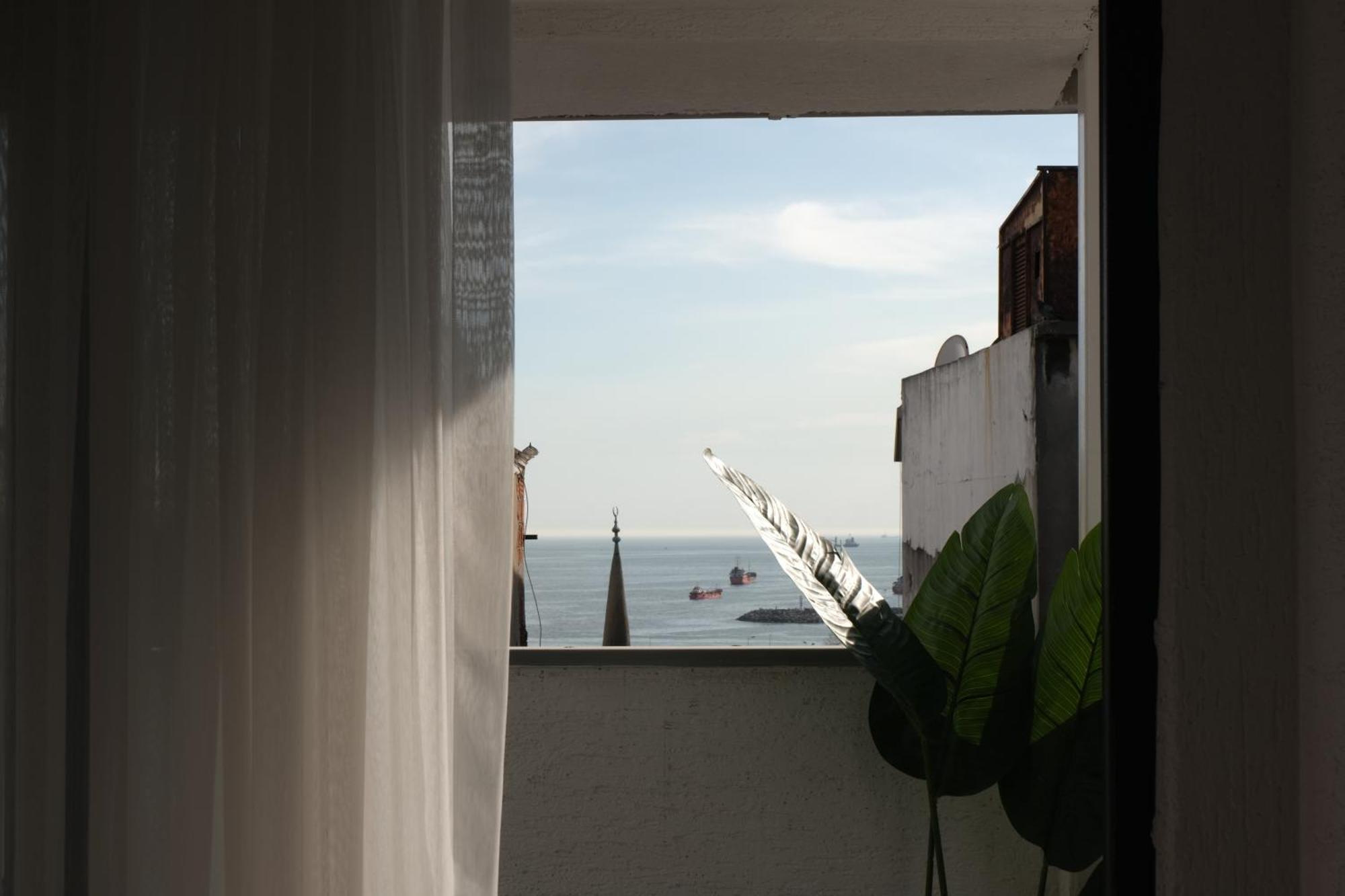 The Palm Suits - Istanbul — Fotos 1
